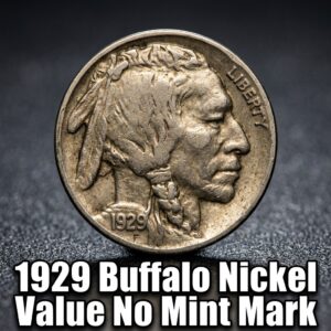 1929 Buffalo Nickel Value No Mint Mark Worth and Grade Guide